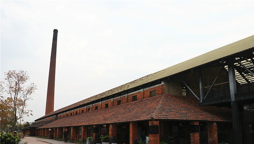 曾經(jīng)呼吸新鮮空氣都是奢侈的沈橋村,現(xiàn)在什么樣了