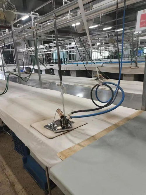 行走在泥濘路上的負(fù)債人