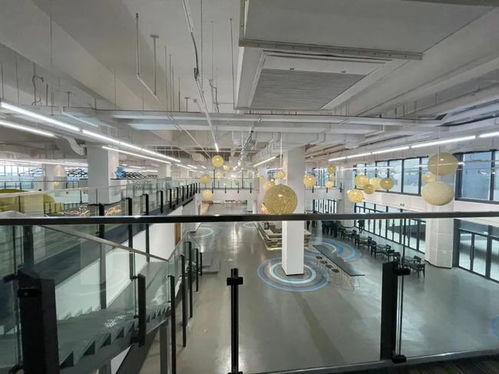 老廠房變美術館 騰籠換鳥 松江新橋讓文創與科創相互賦能